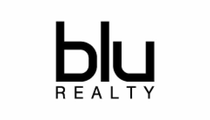 blu Realty logo